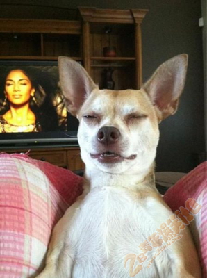 ģ�´������ֽ��� 