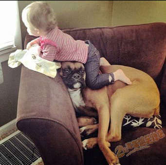 ������TMD�������ٲ� 