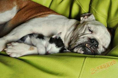 �������������˯һ�� 