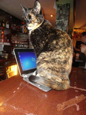 �����ҵ���������,�� 