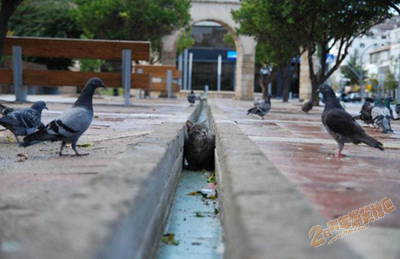 �������ĵĿ���Ȼ��һ 