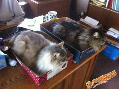 �����˵�ר��ϯλ�� 