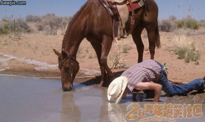 �˺���ͬ��һ��ˮ���� 