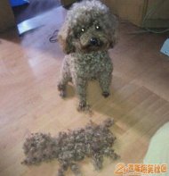 �������������ŵ���˭ 