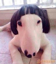 ���찡˭�ܸ��������� 