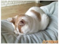 �����������˺������ 