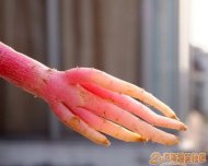 Դ�������Ȥͼ����֮ 