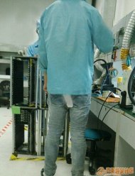 ������Ľڲٵ������� 