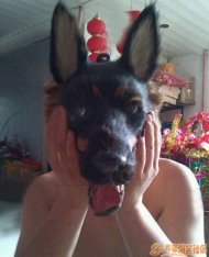 �Ҵΰ²����������˵� 