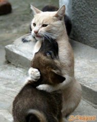 �����ǲ�ϲ���� ��ϲ 