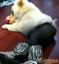 �ּ���˿��˵����Ҫ�� 