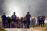 �����������ţ�� 