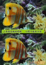 ıͷ 