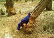 ���Ƕ������װ�����Ҫ 