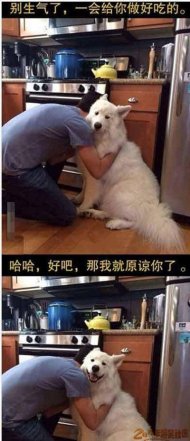 �кóԵ�ʲô����˵ 