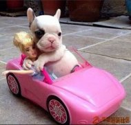 ��С���������Կ����� 