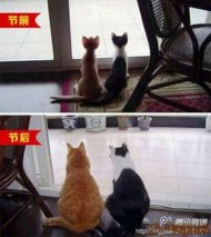 ���ڽ���С�Ľ�ǰ�ں� 