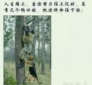 ���м������յİ���ƴ 