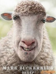 就是这么自信就是这么