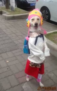  ����Ĺ���ͼƬ���� 