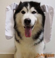 ÿ�����ȹ�����һ���� 