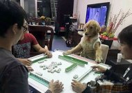 ��ȱһС�������� 