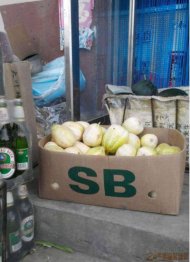 �����˭������ 