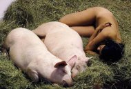 ���˲��������� 