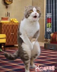 ��Ӵ�簡�ҵ��۰� 