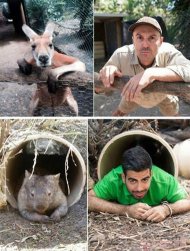 ��ͬ��ͼƬ���붯�� 