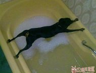 ��������Ҳ̫�����˰� 