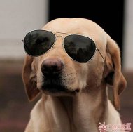 ��ͼP�����ְɼ����� 