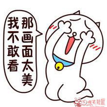 画面太美我不敢看