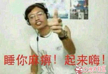 睡你麻痹起来嗨