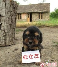 ����������ĵ����� 