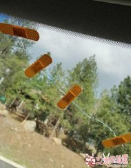 ���粣������ 