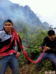 ��������������Ƕ��� 