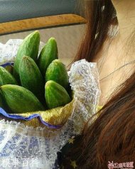 Ů����ö�ƹ�˵��Ҫ 