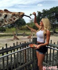 ����¹����ͷ�ж೤ 