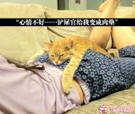 女人的屁股男人碰一下