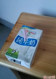 ������ţ�̸����� 