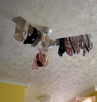 ����ɹ�ڿ����׸� 