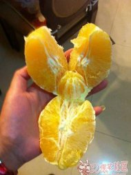 �������Ҳ������ 