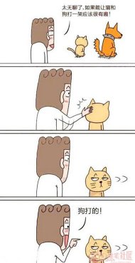 ������Ӳ�˰������ǹ� 