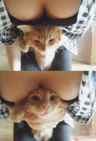 �Ҹ���Сè�� 