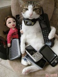 ��Ǯ������ô���� 