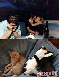 ��ʲô���ĵ��������� 