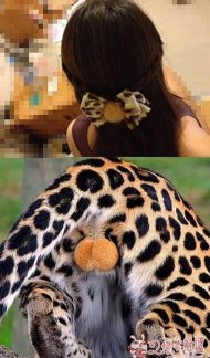 ȷʵе֪ 
