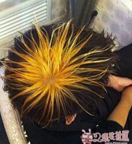 �ջ�ͷ������ 