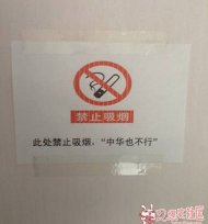 �˴���ֹ�����л�Ҳ�� 